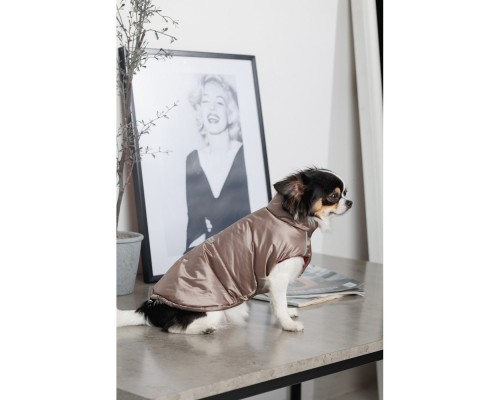 Жилет для тварин Pet Fashion Hardy L (4823082437443)
