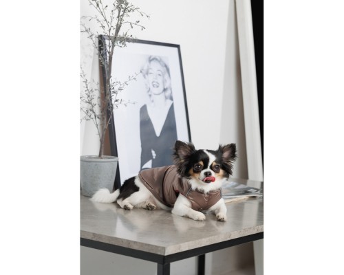 Жилет для тварин Pet Fashion Hardy L (4823082437443)
