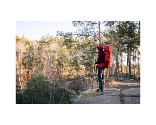 Рюкзак туристичний Tramp Floki 50+10л red (UTRP-046-red)