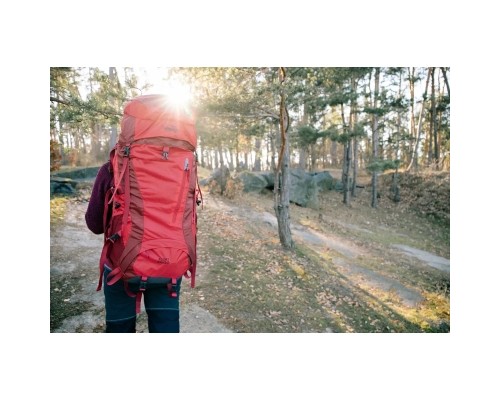 Рюкзак туристичний Tramp Floki 50+10л red (UTRP-046-red)