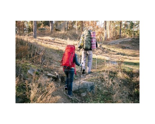 Рюкзак туристичний Tramp Floki 50+10л red (UTRP-046-red)