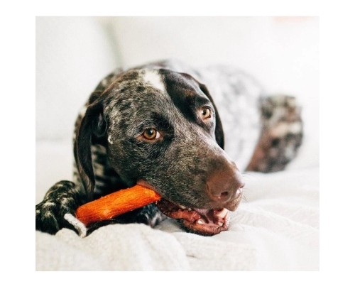 Іграшка для собак Petstages Mesquite Dogwood Гілка (з ароматом барбекю) 10.5 см (0700603301428)