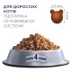 Сухий корм для кішок Club 4 Paws Преміум. Підтримка здоров'я сечовидільної системи 14 кг (4820083909375)