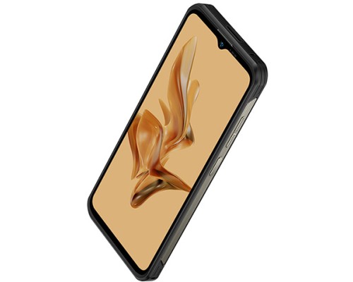 Мобільний телефон Ulefone Armor 17 Pro 8/256G Black (6937748735083)