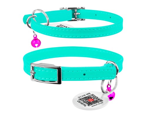 Нашийник для тварин WAUDOG Glamour з QR паспортом Д 22-30 см ментоловий (324813)