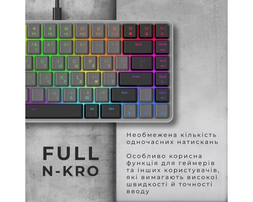Клавіатура GamePro MK141R Red Swich Low Profile RGB USB Dark Gray (MK141R)