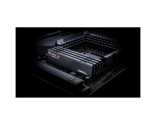 Модуль пам'яті для комп'ютера DDR5 48GB (2x24GB) 5200 MHz Ripjaws S5 Black G.Skill (F5-5200J4040A24GX2-RS5K)