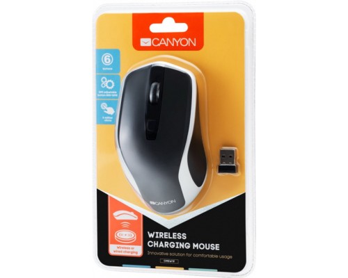 Мишка Canyon CNS-CMSW19B Wireless Silent Black -Silver (CNS-CMSW19B)