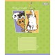 Зошит 1 вересня Fluffy miracle А5 12 аркушів лінія (768159)