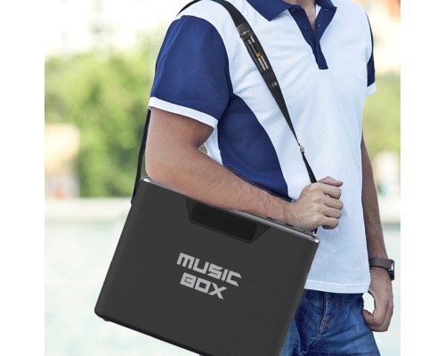 Акустична система HiFuture MusicBox 100W Silver (musicbox.silver)