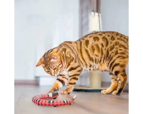 Іграшка для котів Lapka Інтерактивна Змія (DCT-28)