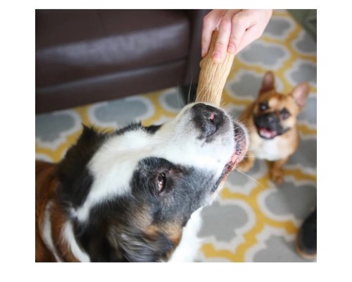 Іграшка для собак Petstages Dogwood Stick 