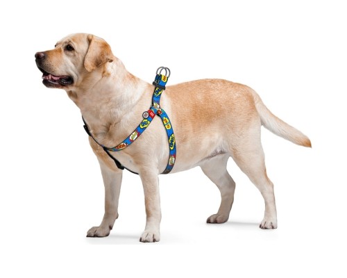 Шлея для собак WAUDOG Nylon з QR паспортом анатомічна 