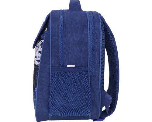 Рюкзак шкільний Bagland Відмінник 20 л. 225 синій 904 (0058070) (418214857)