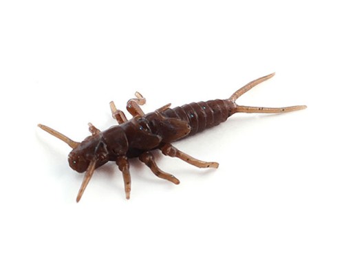 Силікон рибальський FishUP Stonefly 0.75