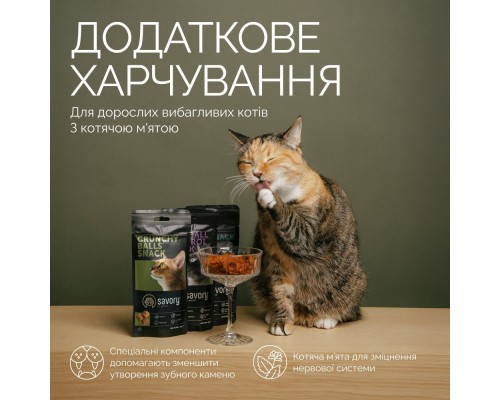 Ласощі для котів Savory Snacks Crunchy Balls кульки з котячою м'ятою 60 г (4820261921335)
