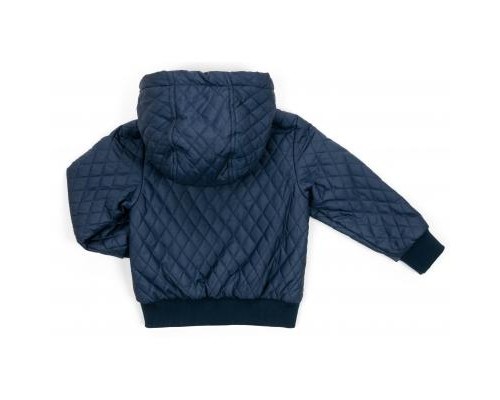 Куртка дитяча Verscon стеганая (3439-110B-blue)
