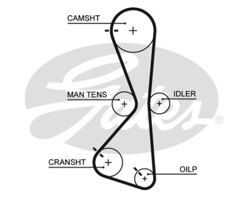 Ремінь ГРМ Gates 5609XS