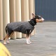Жилет для тварин Pet Fashion