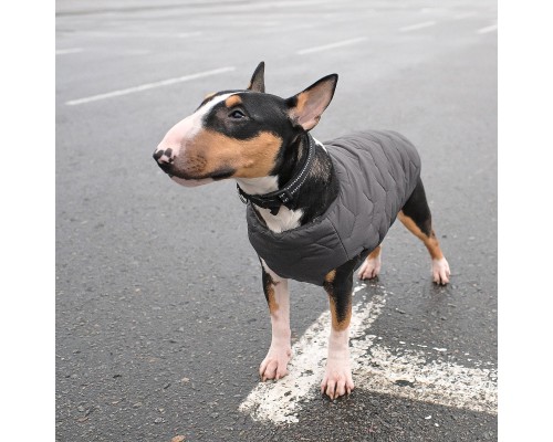 Жилет для тварин Pet Fashion Жилет для тварин Pet Fashion