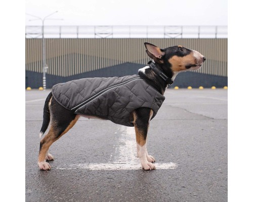 Жилет для тварин Pet Fashion Жилет для тварин Pet Fashion