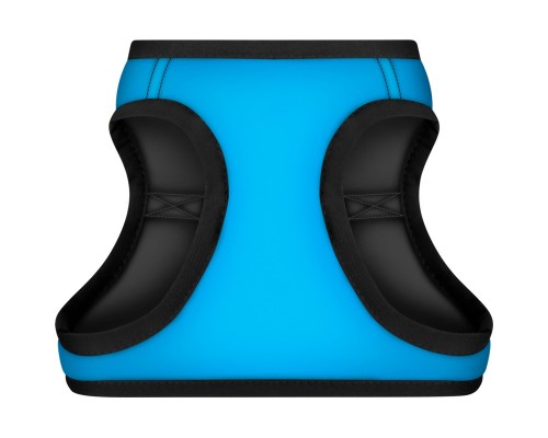 Шлея для собак WAUDOG Clothes з QR паспортом Colors of freedom S2 (228-4020)