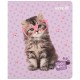 Зошит Kite Studio Pets, 24 аркуші, клітинка (SP25-238)