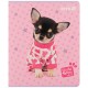 Зошит Kite Studio Pets, 24 аркуші, клітинка (SP25-238)
