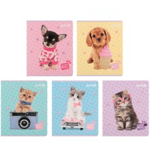 Зошит Kite Studio Pets, 24 аркуші, клітинка (SP25-238)