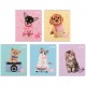 Зошит Kite Studio Pets, 24 аркуші, клітинка (SP25-238)