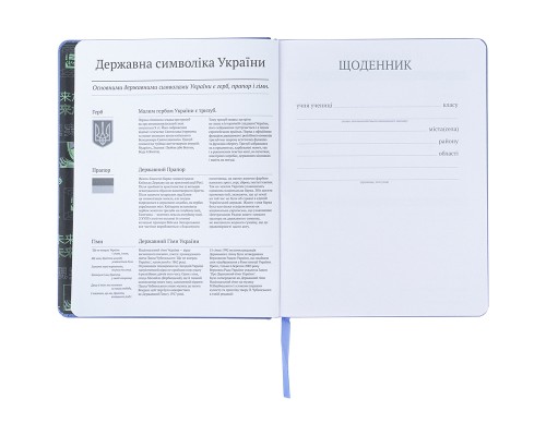 Щоденник шкільний Kite Green eyes, тверда обкладинка (K24-264-3)