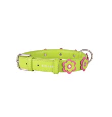 Нашийник для тварин Collar GLAMOUR з оздобленням 