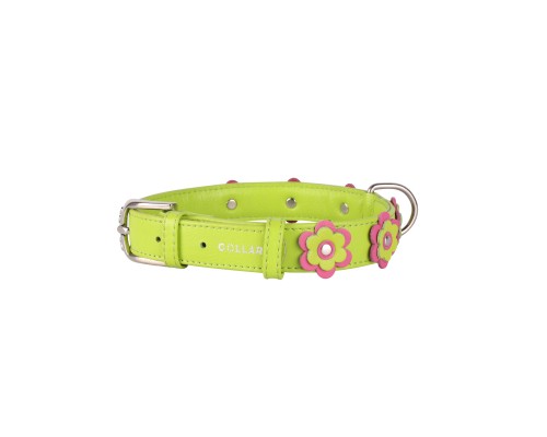 Нашийник для тварин Collar GLAMOUR з оздобленням 