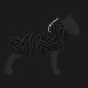 Дощовик для тварин WAUDOG Clothes з капюшоном 