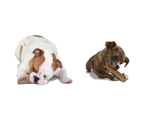 Іграшка для собак Petstages Dogwood Stick 