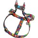 Шлея для собак WAUDOG Nylon з QR паспортом анатомічна 