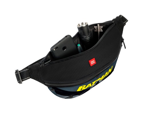 Поясна сумка-бананка для собак WAUDOG Family 