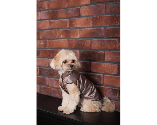 Жилет для тварин Pet Fashion Hardy М2 (4823082437467)