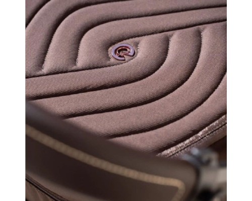 Коляска Espiro 2 в 1 Miloo 2025 209 Charming Touch (5905683801089)