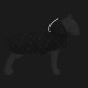 Дощовик для тварин WAUDOG Clothes з капюшоном 