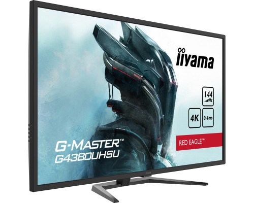 Монітор iiyama G4380UHSU-B1