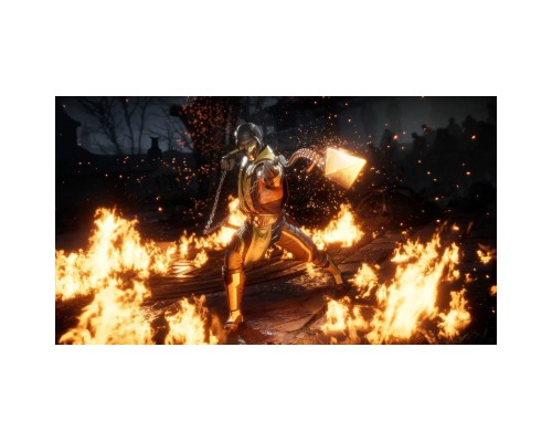 Гра Nintendo Mortal Kombat 11, картридж (5051895412237)