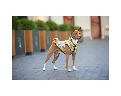 Курточка для тварин WAUDOG Clothes 