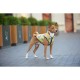 Курточка для тварин WAUDOG Clothes 