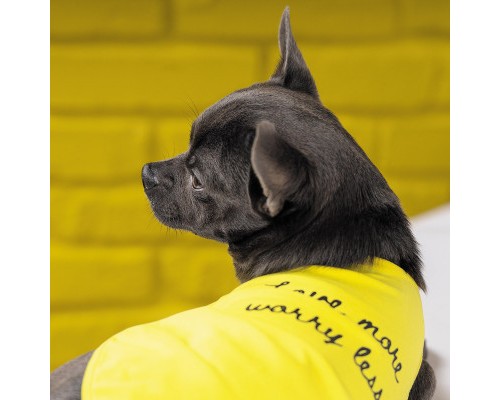 Борцівка для тварин Pet Fashion 