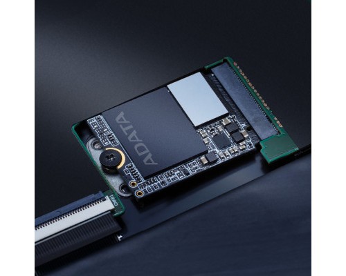 Накопичувач SSD M.2 2230 1TB GAMMIX S55 ADATA (SGAMMIXS55-1T-C)