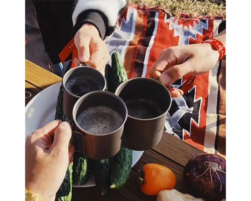 Чашка туристична Naturehike NH20CJ005 титанова з ручкою 450 мл (6927595745786)