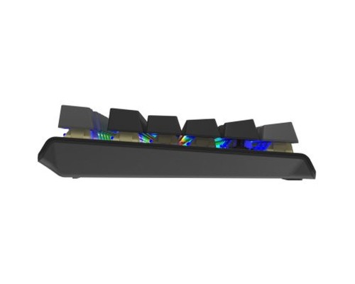 Клавіатура A4Tech FS100 RGB FS Switch USB Stone Black (4711422003925)