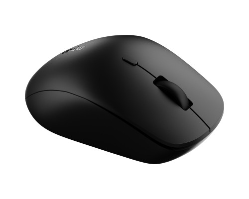 Мишка Rapoo M50 Plus Silent Wireless Black (M50_plus)