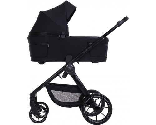 Коляска Espiro 2 в 1 Yoga 119 Assana Lotos (5905683801171)